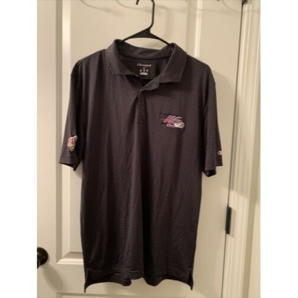 Champion Men's Striped Polo Shirt MiLB Winston Salem Dash Baseball Size L